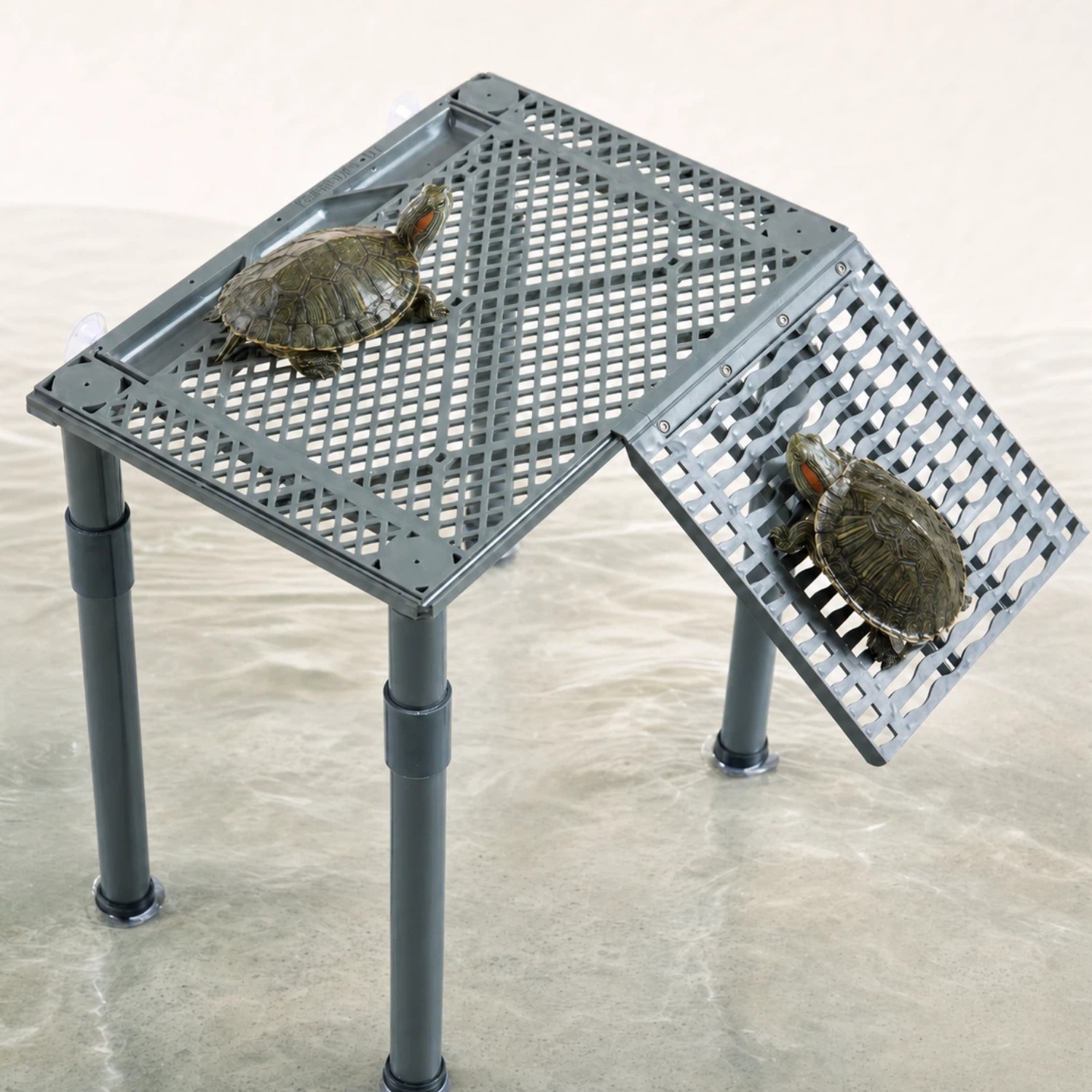 Halomyth turtle basking platform on legs with two turtles